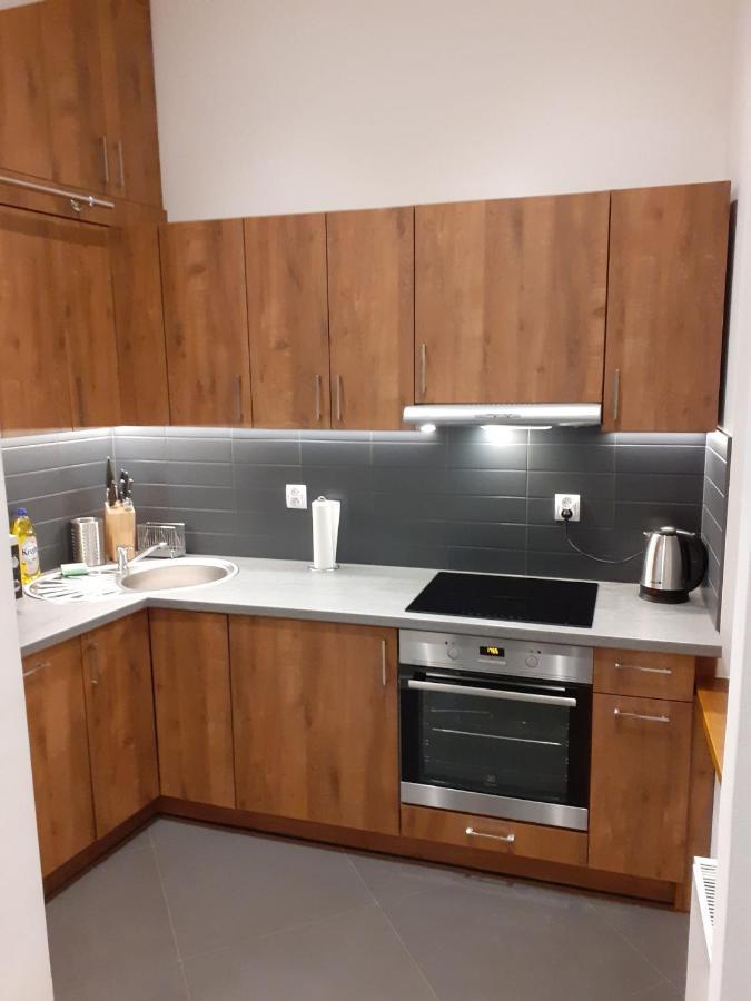 Apartament Sobieskiego 노비 삭츠 외부 사진